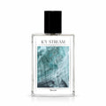 elyscents_icy_stream_perfume_for_men
