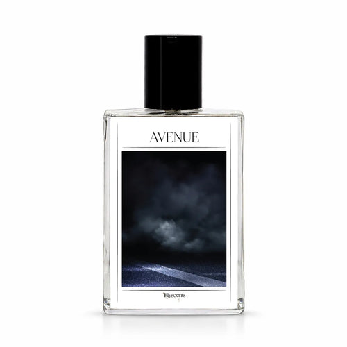 Avenue perfume by Elyscents with cinnamon fragrance notes for men